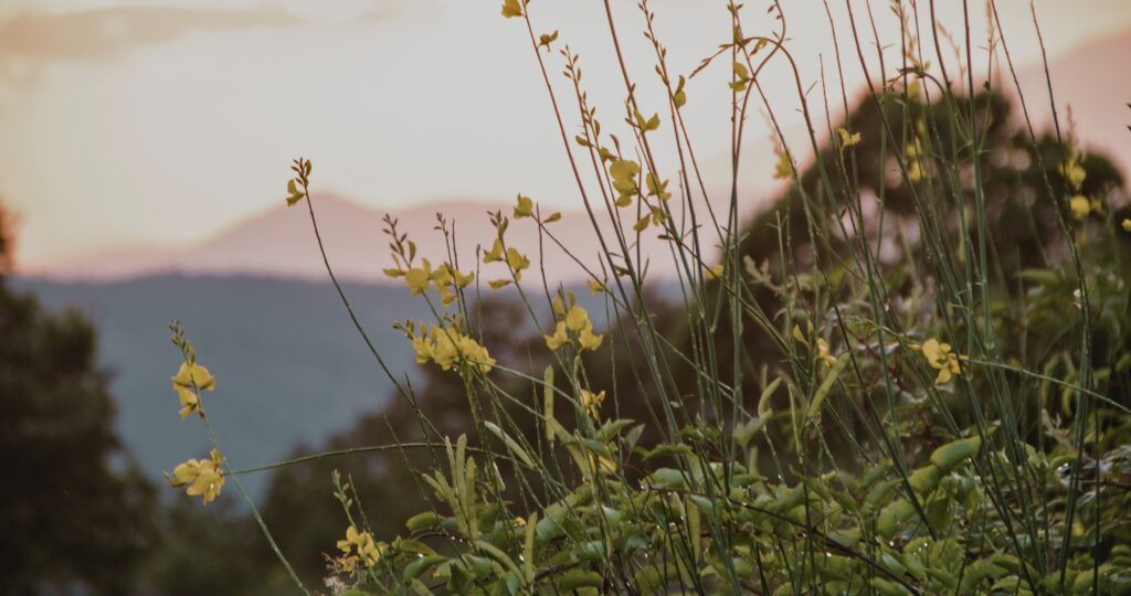 A un cucchiaio dal mondo - Parco nazionale del Pollino