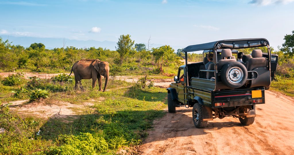 A un cucchiaio dal mondo - Itinerario in Botswana (6)