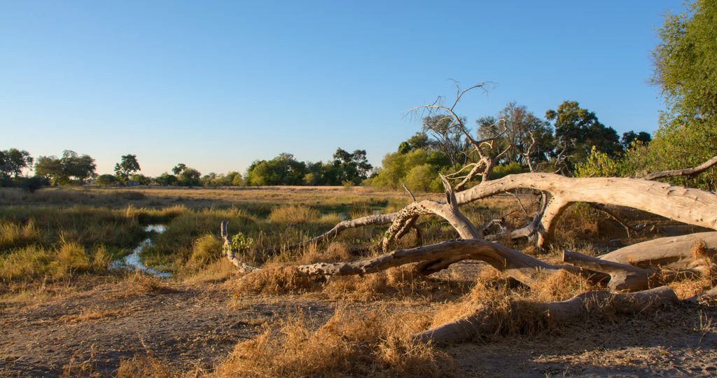 A un cucchiaio dal mondo - Itinerario in Botswana