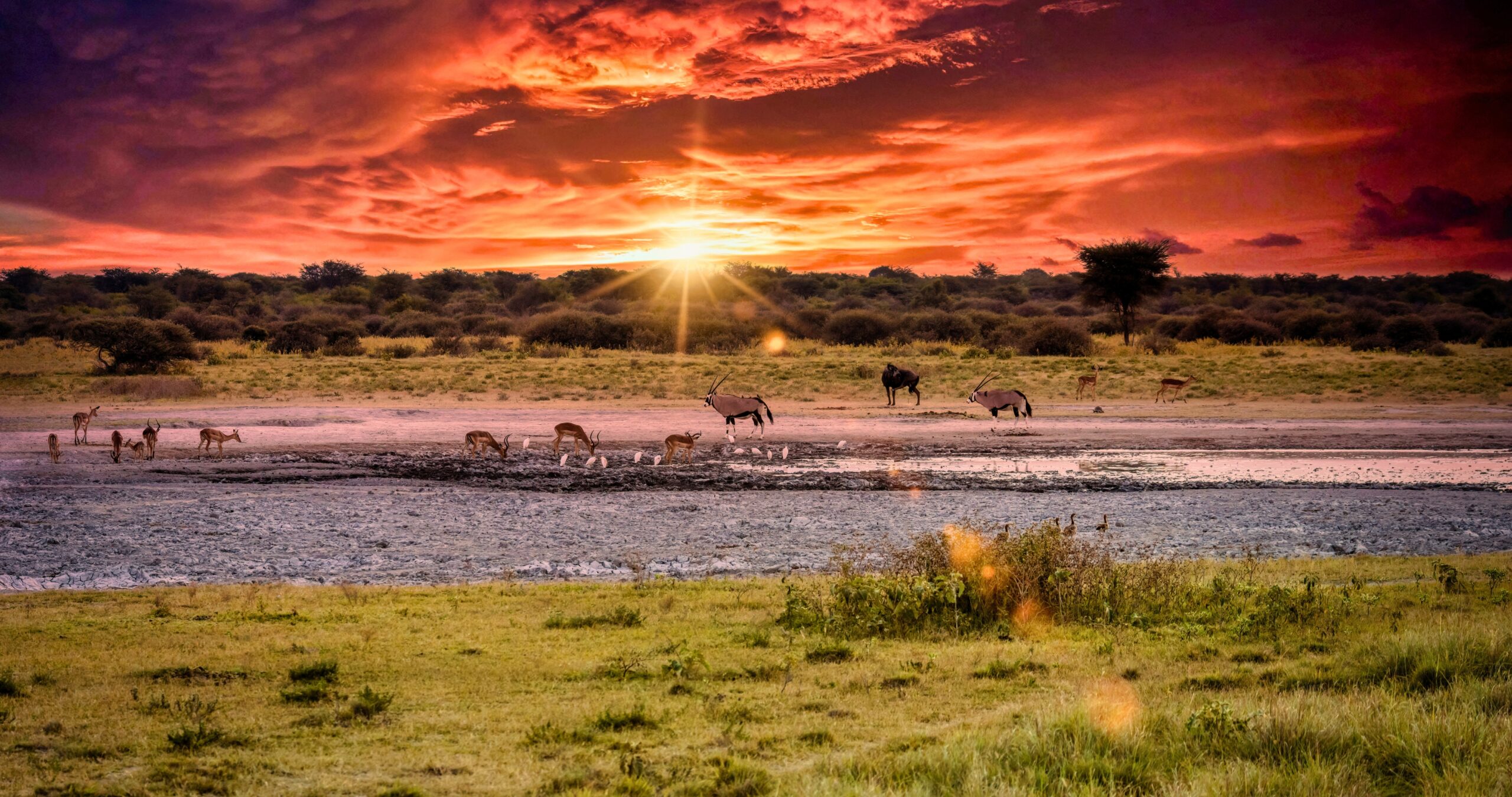 A un cucchiaio dal mondo - Itinerario in Botswana