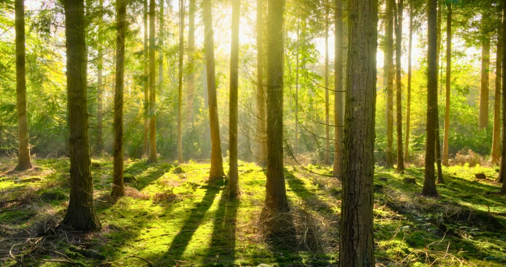 A un cucchiaio dal mondo - Parco Nazionale del Pollino